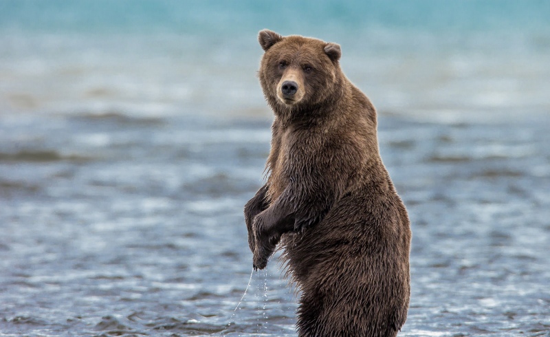 В воде 