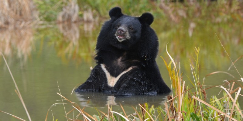 В воде