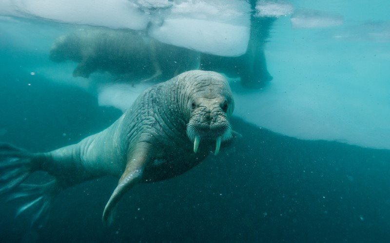 Под водой