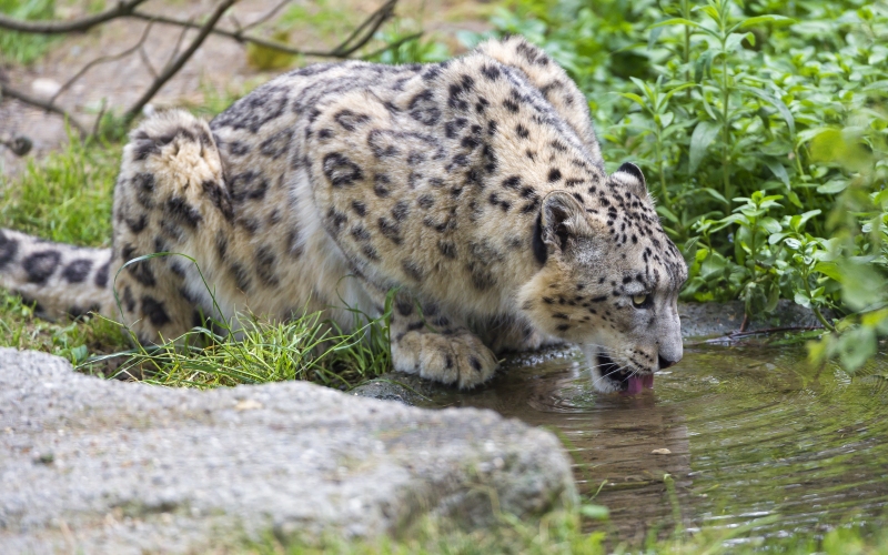 У воды