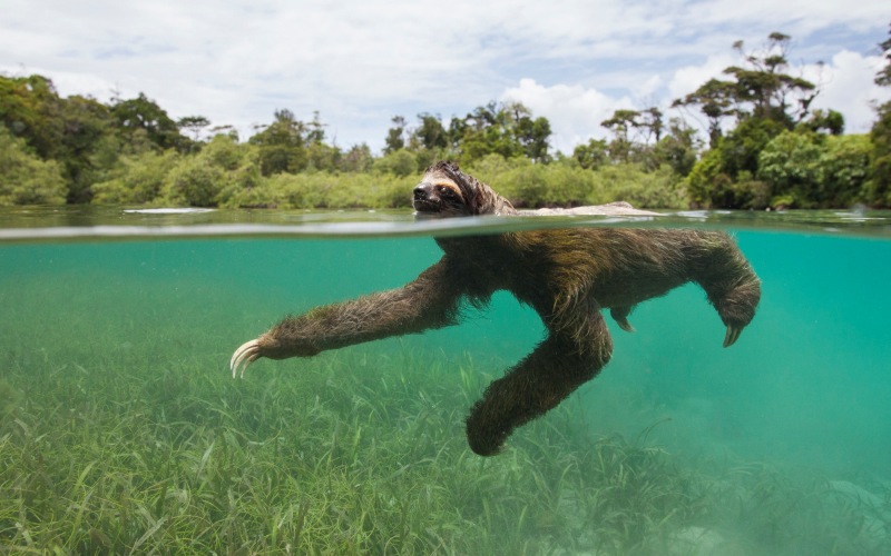 В воде