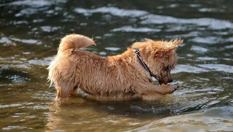 Водные процедуры