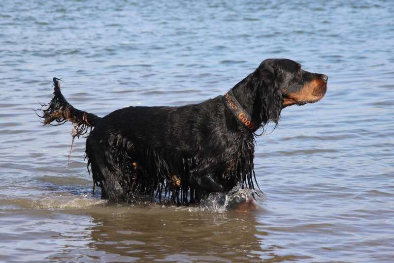 Водные процедуры