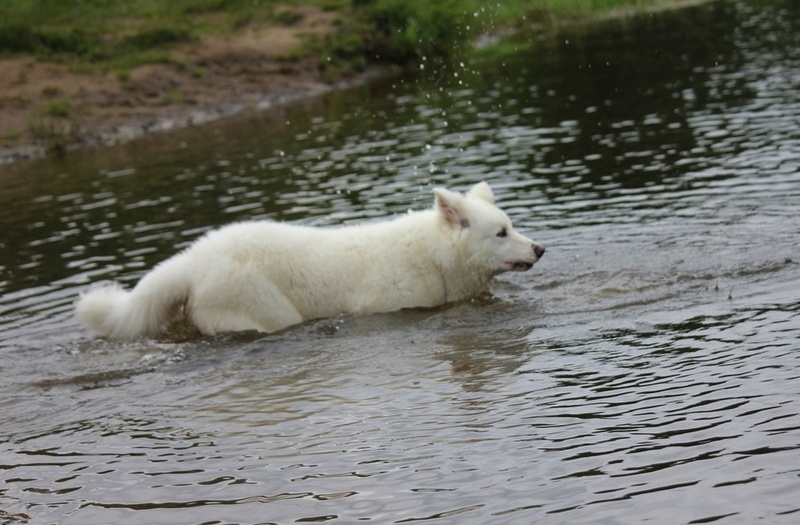 Водные процедуры