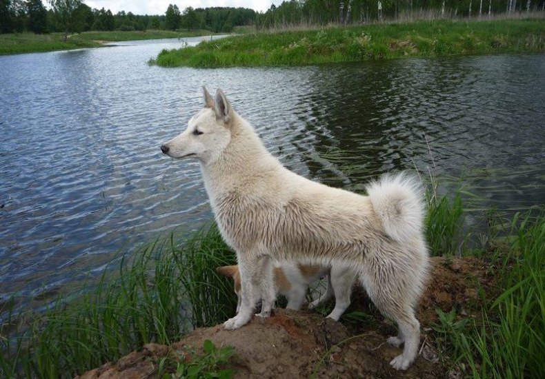 Готовимся к купанию