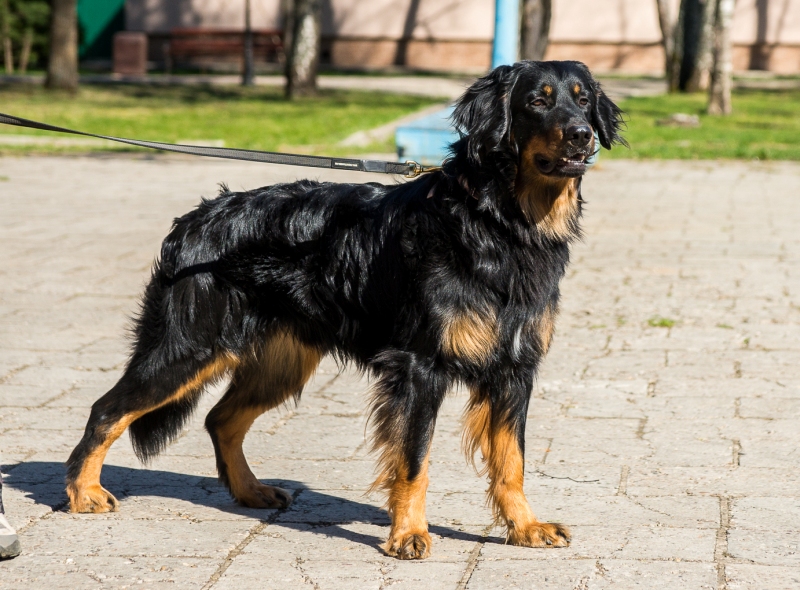 Городская прогулка