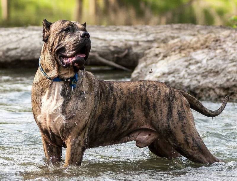 Водные процедуры