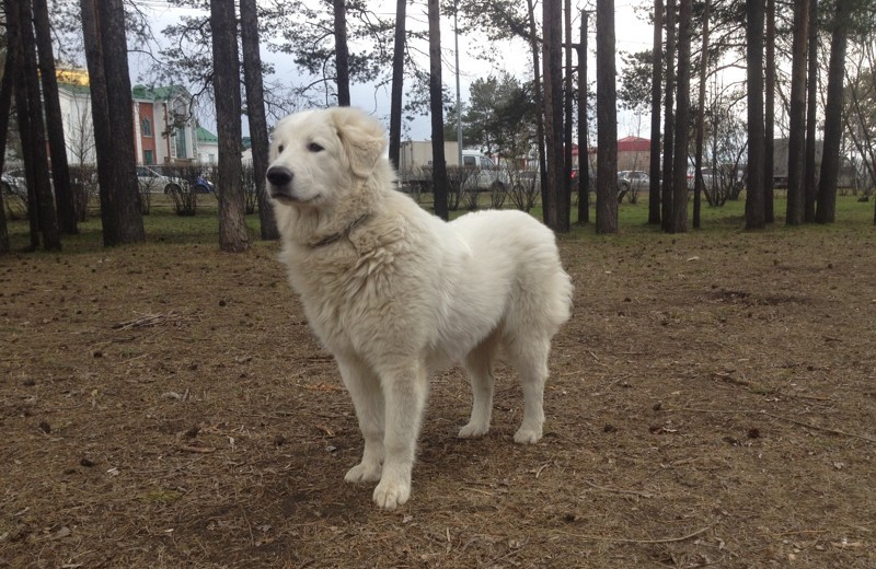 Городская прогулка