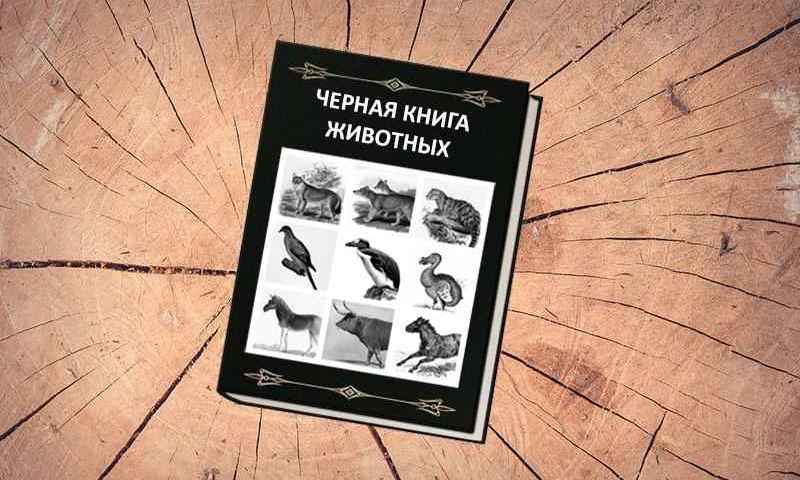 Черная книга животных на столе 