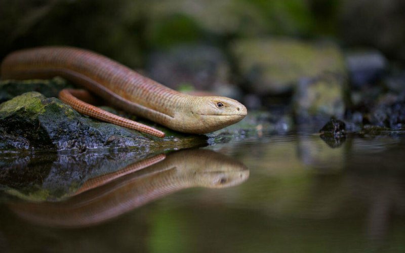 Около воды 