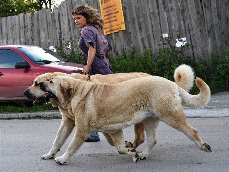 Городская прогулка