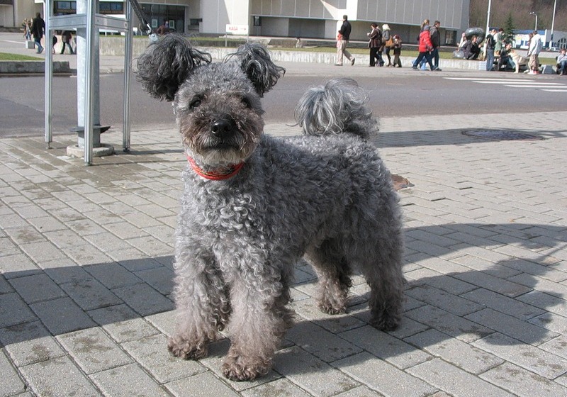 Городская прогулка