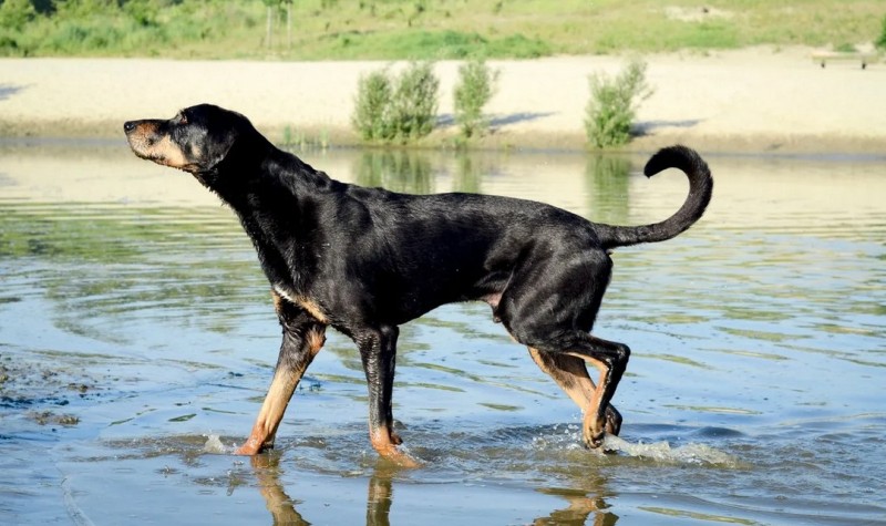 Водные процедуры