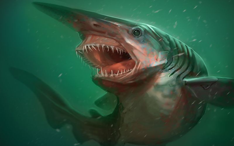 Рисунок акулы-гоблин 