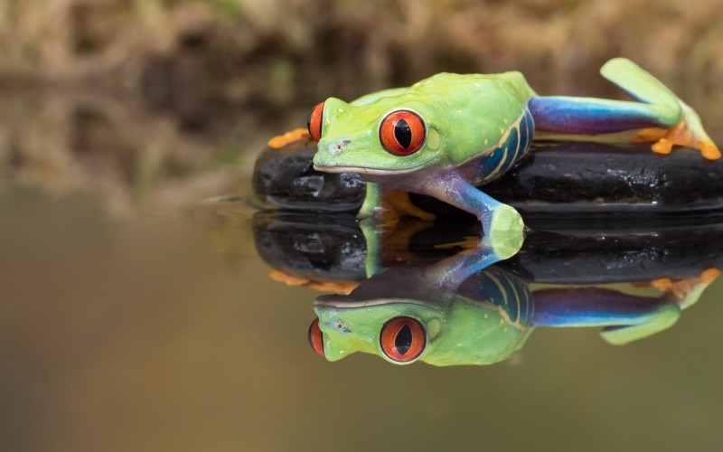 В воде 