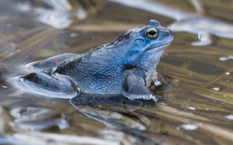 В воде 