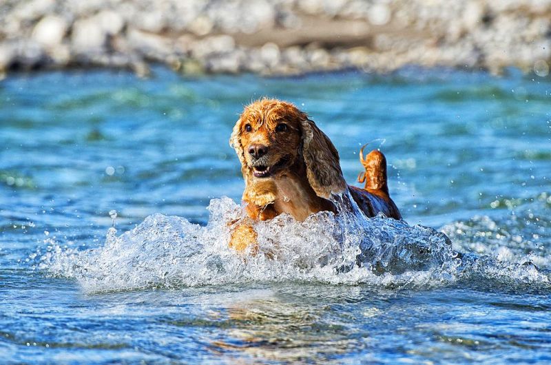 Водные процедуры