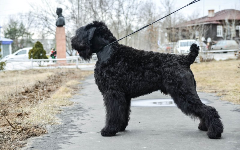 Городская прогулка