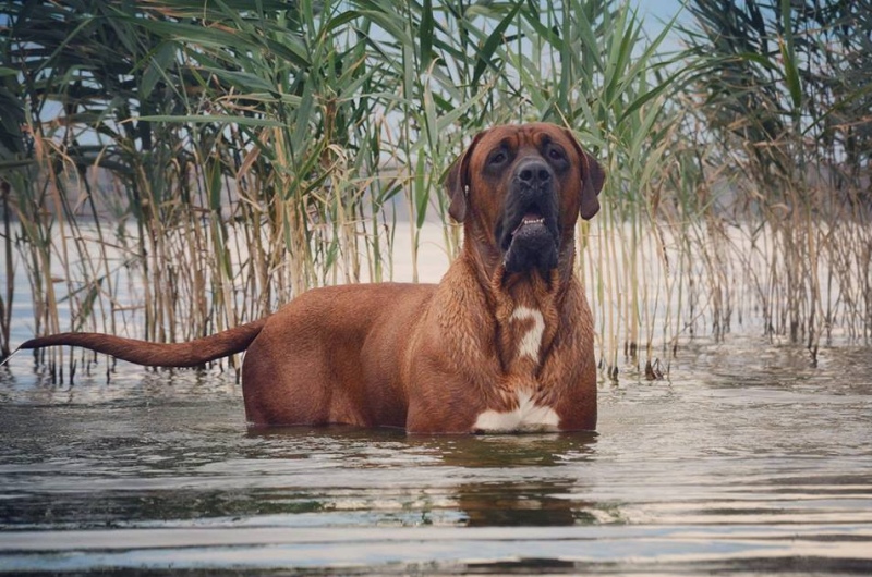 Водные процедуры