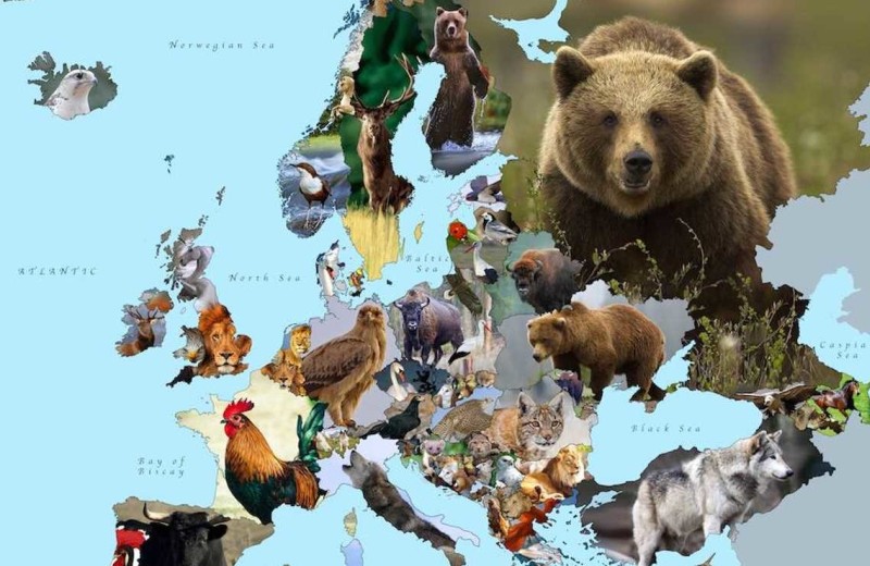 Карта с животными-символами 