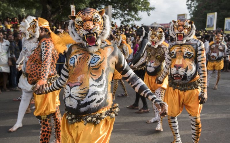 Тигр в Индии 