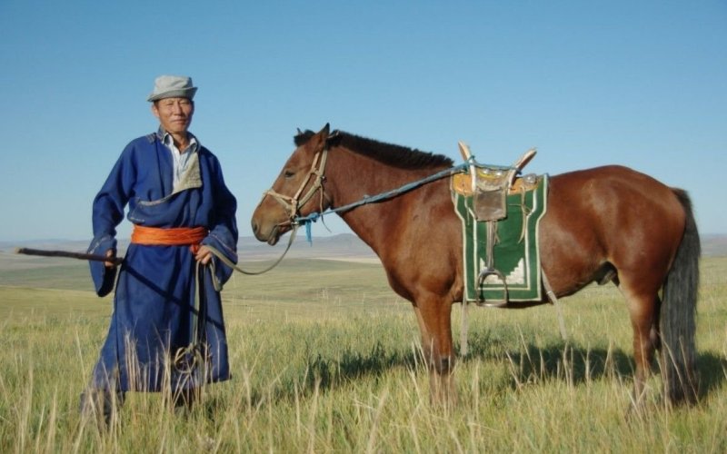 Лошадь в Монголии 