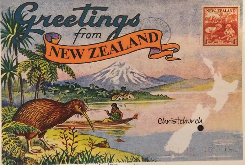 Киви в Новой Зеландии 