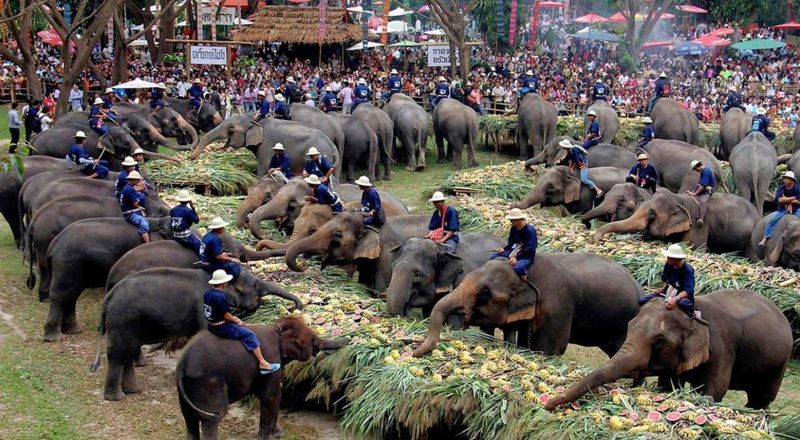 Праздничный обед слонов