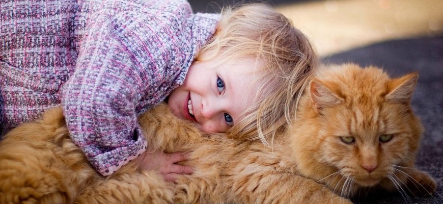 Породы кошек для детей, для семей с детьми