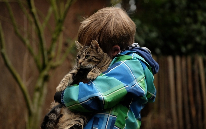 Мальчик обнимает кошку 